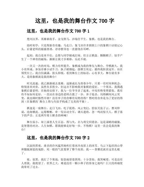 这里也是我的舞台作文700字