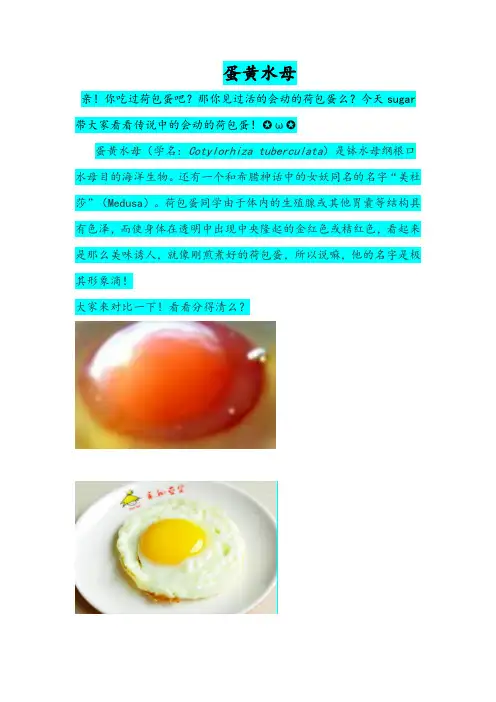 蛋黄水母 Microsoft Office Word 文档