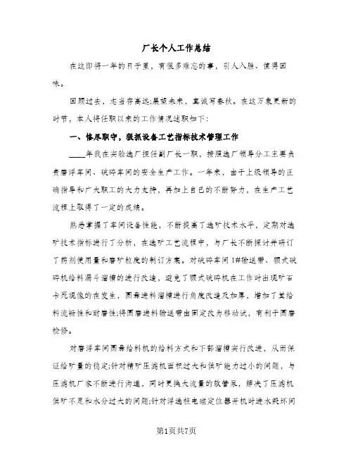 厂长个人工作总结（2篇）