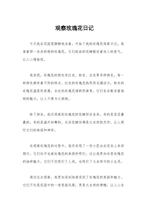 观察玫瑰花日记