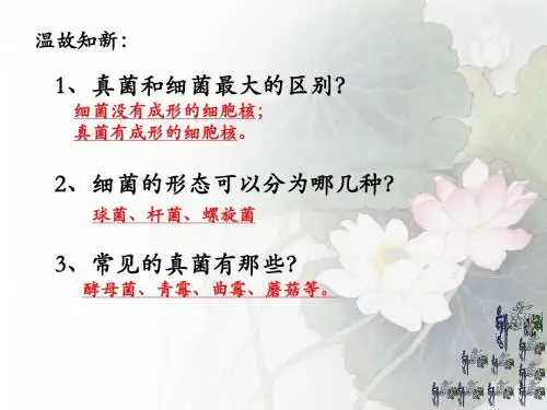 第四节细菌和真菌在自然界中的作用