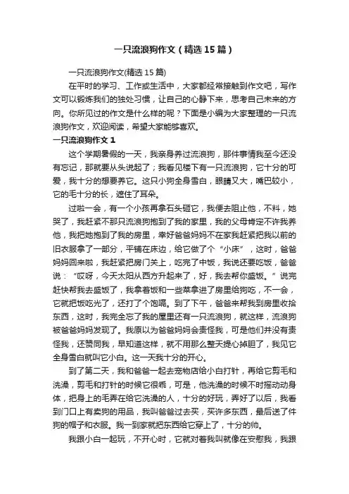一只流浪狗作文（精选15篇）