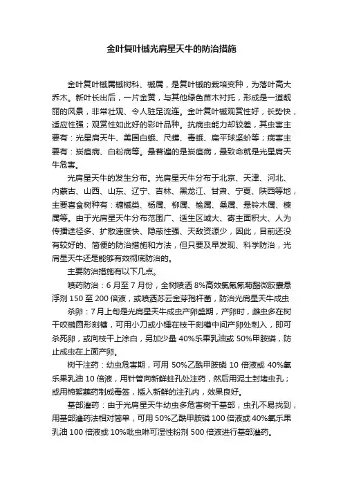 金叶复叶槭光肩星天牛的防治措施