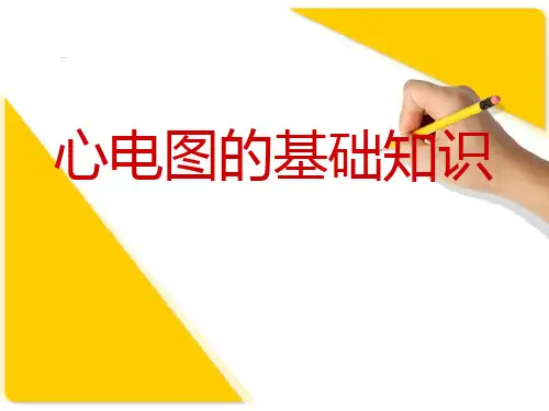 心电图的基础知识