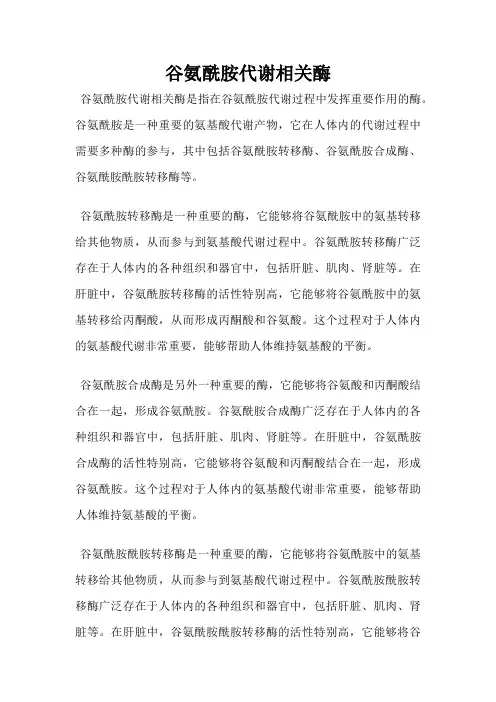 谷氨酰胺代谢相关酶