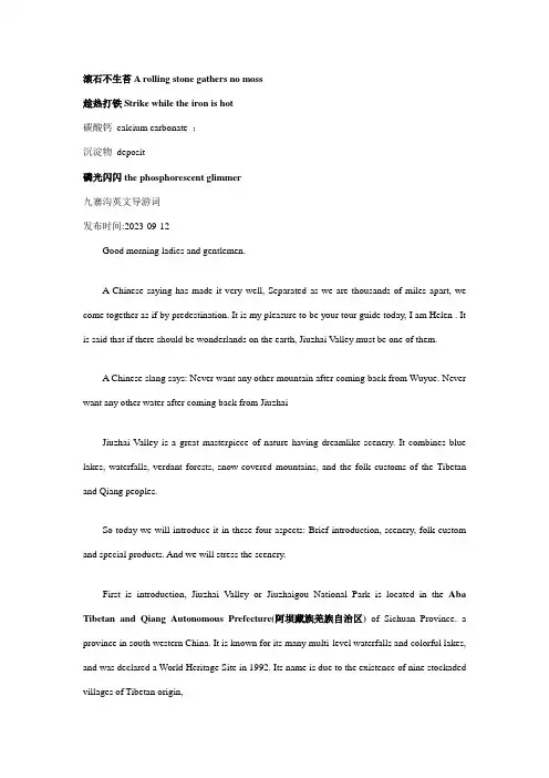 2023年专八翻译答案点评