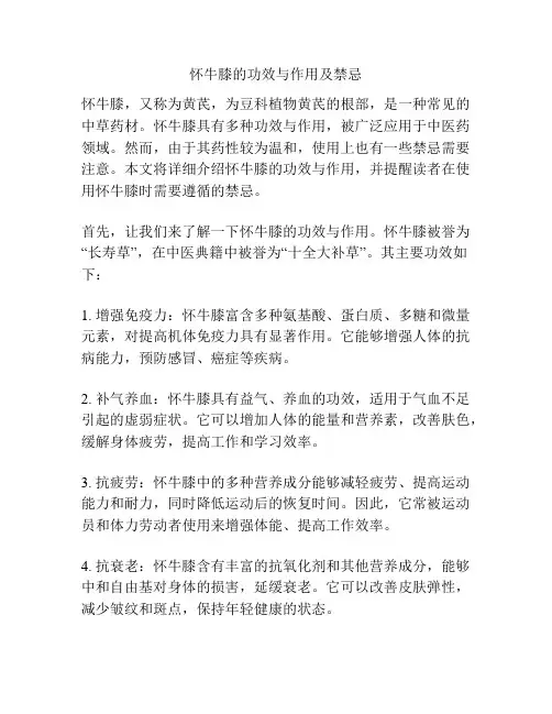 怀牛膝的功效与作用及禁忌