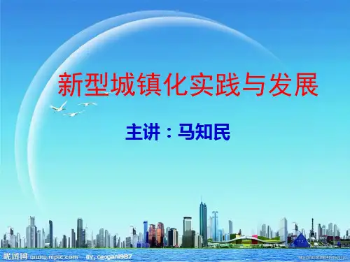 (完整版)新型城镇化课件