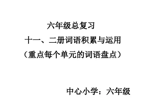六年级总复习(读拼音写词语)