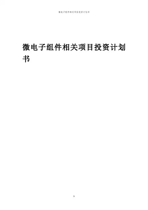 微电子组件相关项目投资计划书