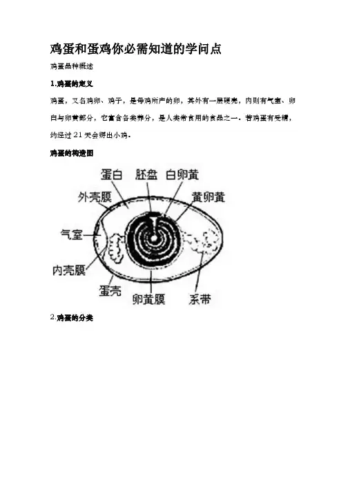 鸡蛋和蛋鸡你必须知道知识点