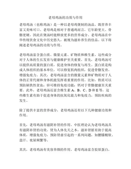 老母鸡汤的功效与作用