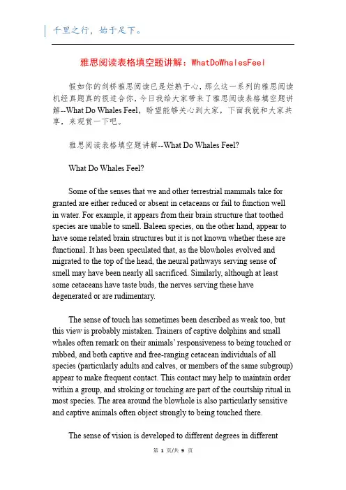 雅思阅读表格填空题讲解：WhatDoWhalesFeel