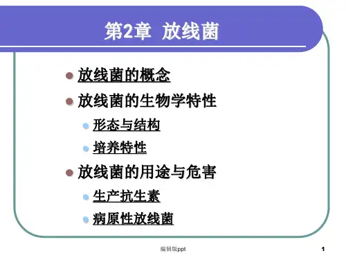 放线菌及真菌