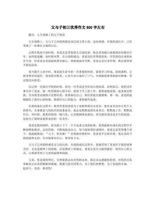 父与子初三优秀作文800字左右