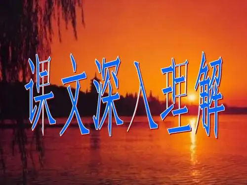 《落日的幻觉》ppt课件(30页)2