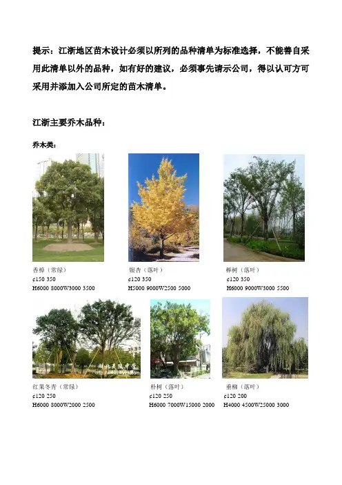 江浙地区植物品种new
