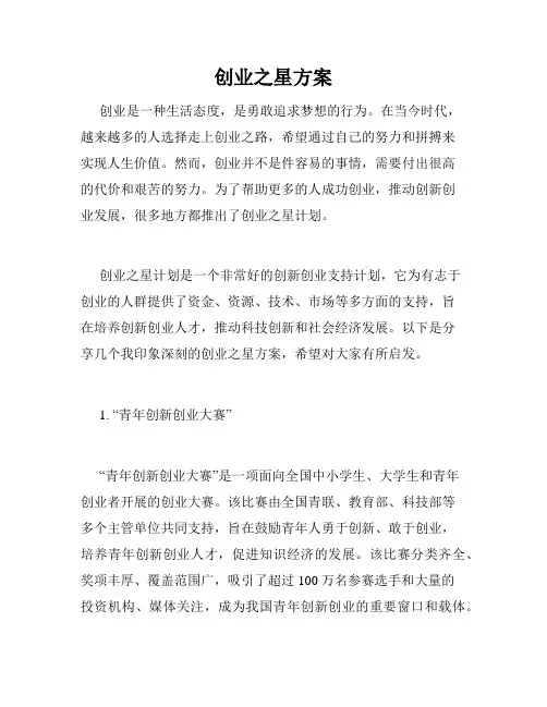 创业之星方案
