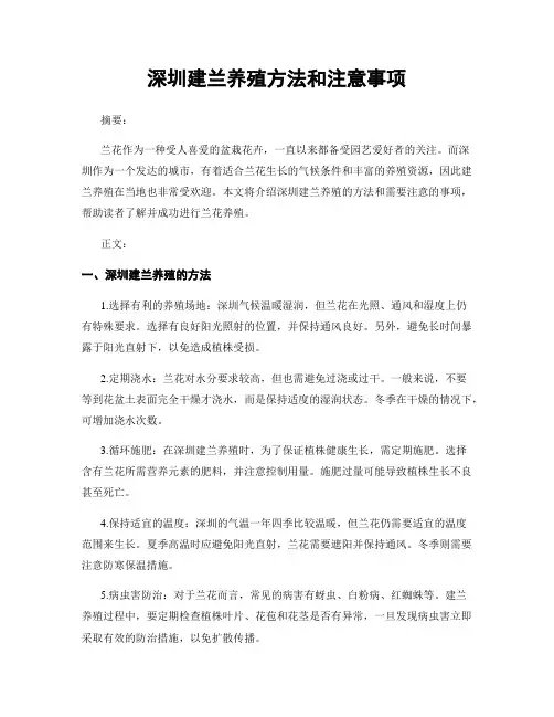 深圳建兰养殖方法和注意事项
