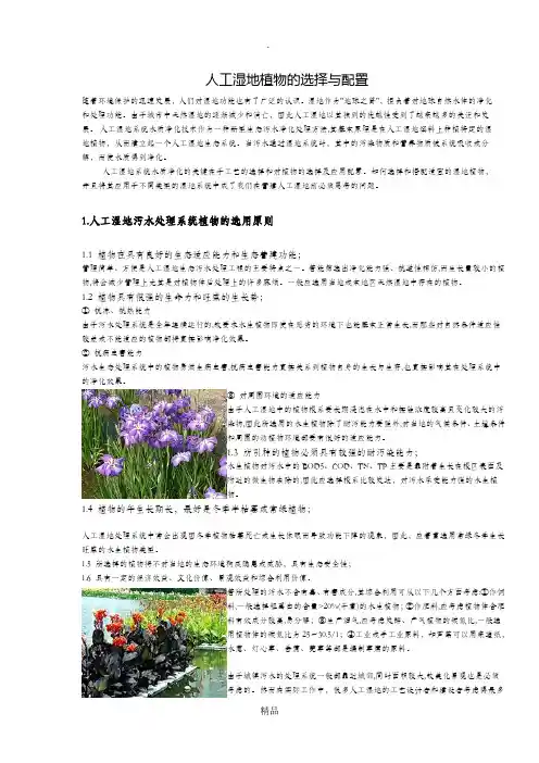 人工湿地植物的选择与配置