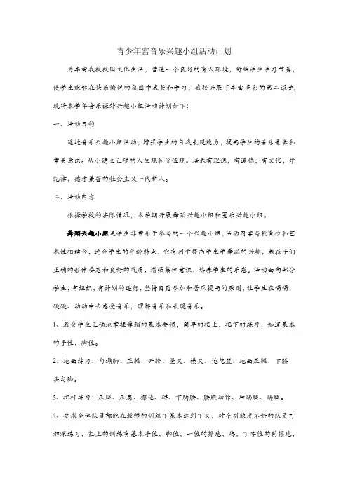少年宫音乐兴趣小组活动计划