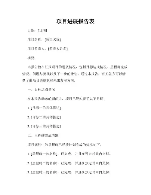 项目进展报告表