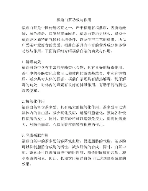 福鼎白茶功效与作用