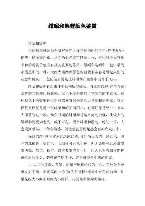 绯昭和锦鲤颜色鉴赏