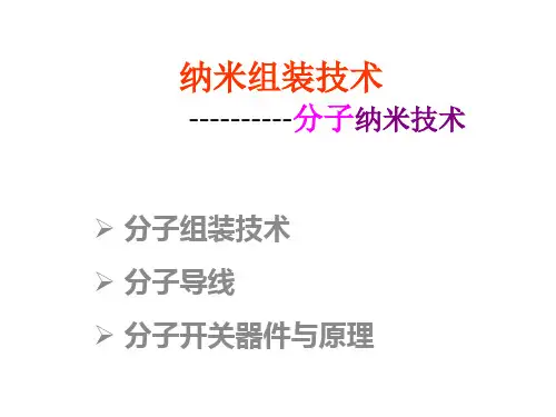 纳米组装技术 分子组装