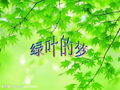 1.绿叶的梦