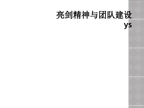 亮剑精神与团队建设ys