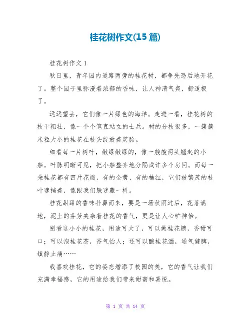 桂花树作文(15篇)