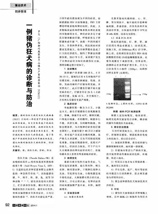一例猪伪狂犬病的诊断与防治