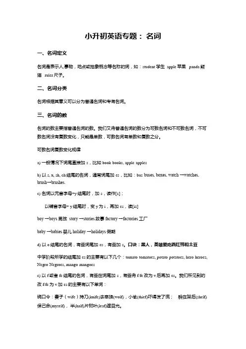 小升初英语专题讲解与训练--名词(含答案)