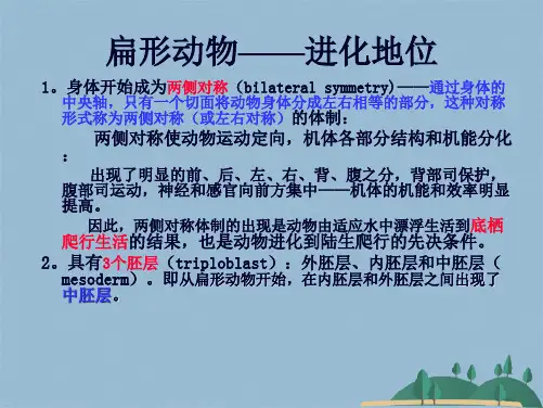 动物生物学扁形动物门(共47张PPT)