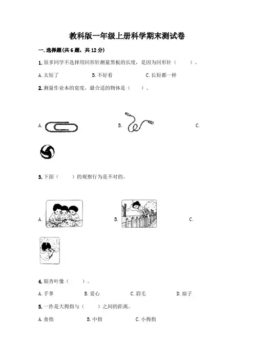 教科版一年级上册科学期末测试卷带答案【考试直接用】