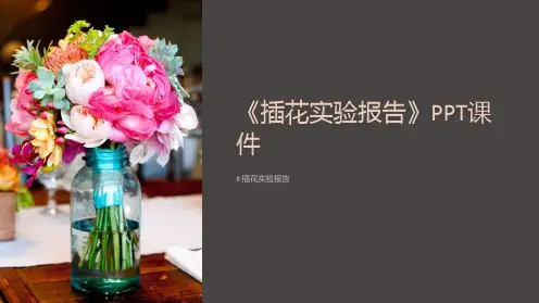 《插花实验报告》课件