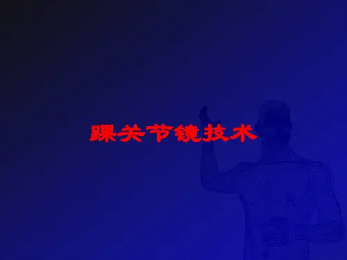 踝关节镜技术培训课件
