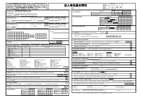 A3法人单位基本情况表(MLK101-1)-2