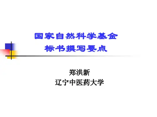 国自然标书填写模版范本