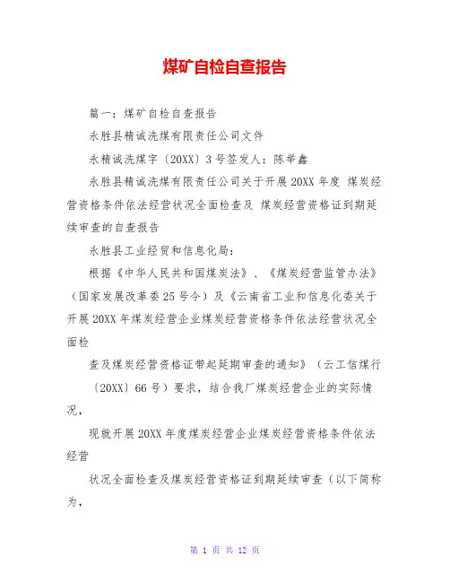 煤矿自检自查报告