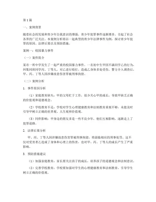 青少年法律事件案例分析(3篇)