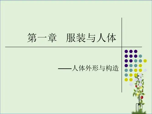 人体结构与外形