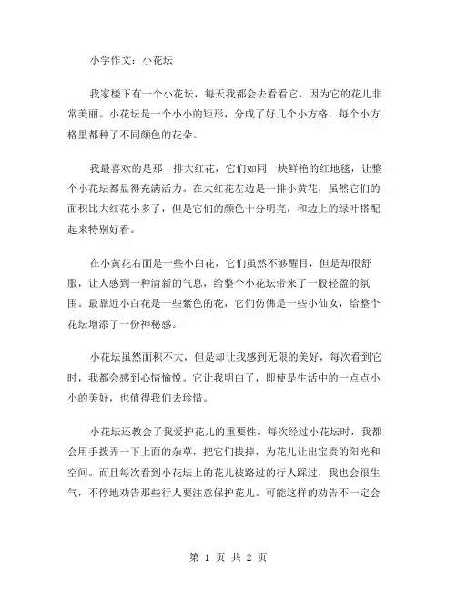 小学作文小花坛范文