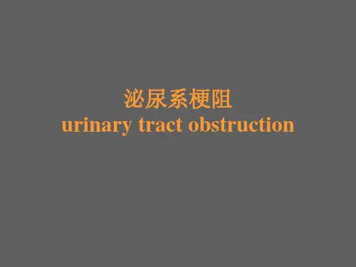 泌尿系梗阻 PPT精品课件