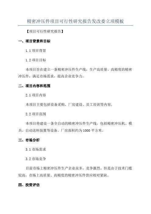 精密冲压件项目可行性研究报告发改委立项模板