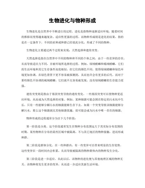 生物进化与物种形成