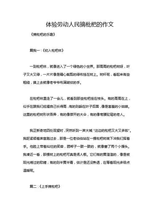 体验劳动人民摘枇杷的作文