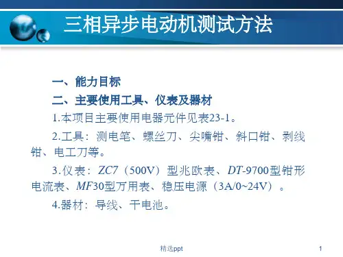 三相异步电动机检测方法PPT课件