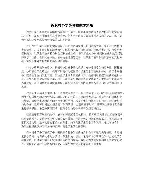 谈农村小学小班额教学策略